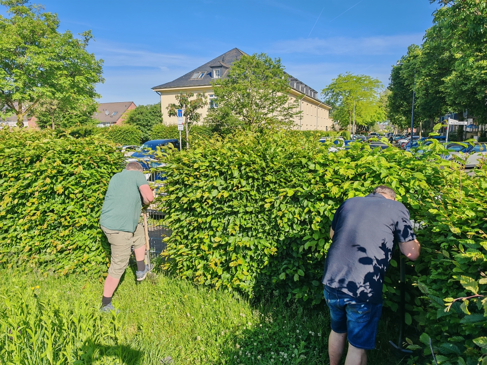 Baumpflanz-Challenge